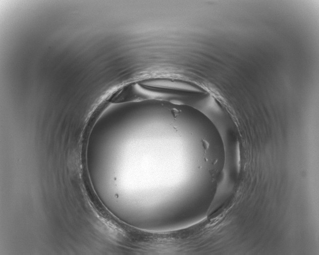 X0000061730438200512050938