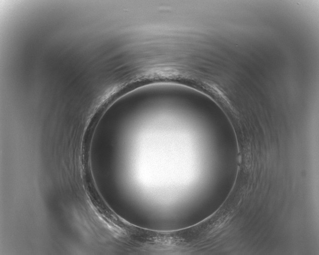 X0000061730439200512050938