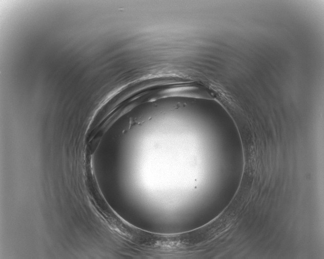 X0000061730440200512050938