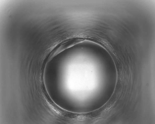 X0000061730441200512050938