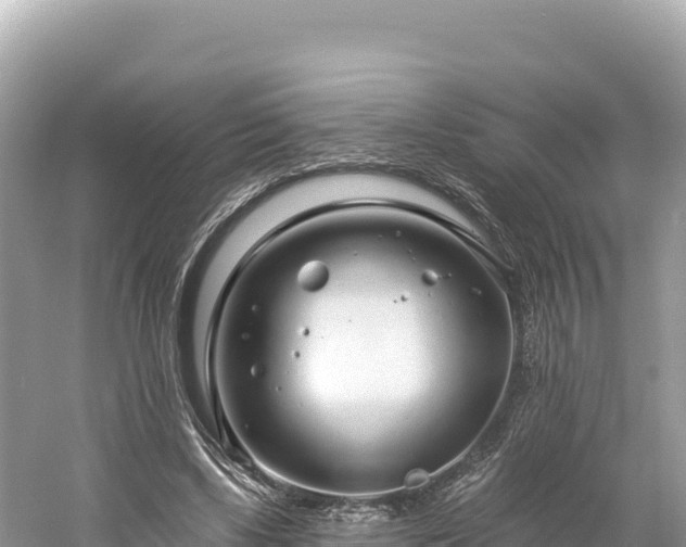 X0000061730443200512050938