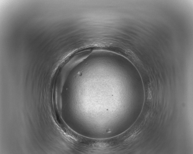 X0000061730444200512050938