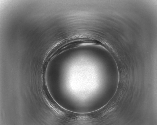 X0000061730446200512050938