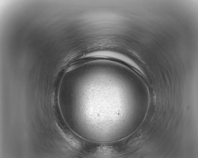 X0000061730451200512050938