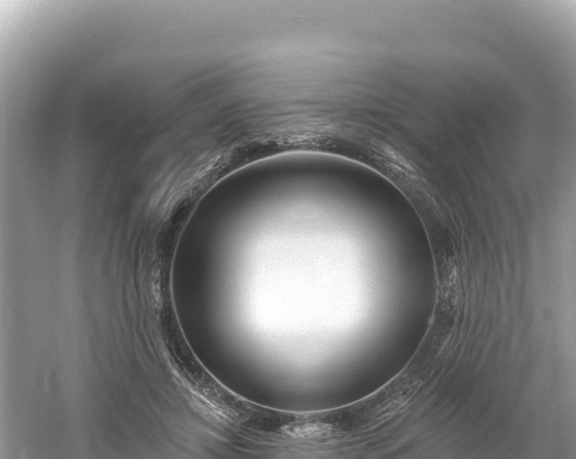 X0000061730452200512050938