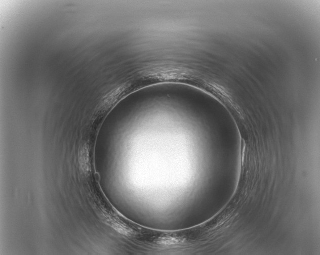 X0000061730453200512050938