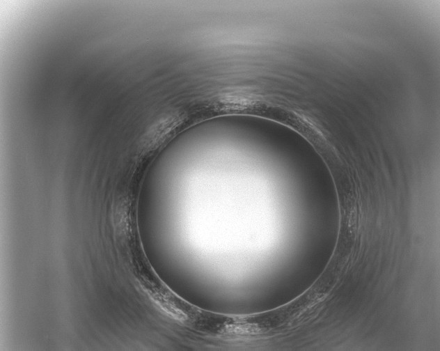 X0000061730455200512050938