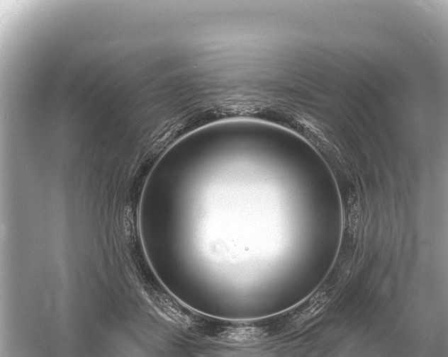 X0000061730459200512050938