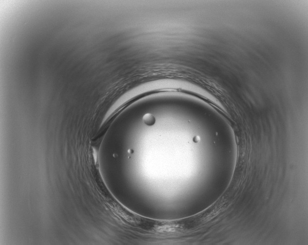 X0000061730461200512050938