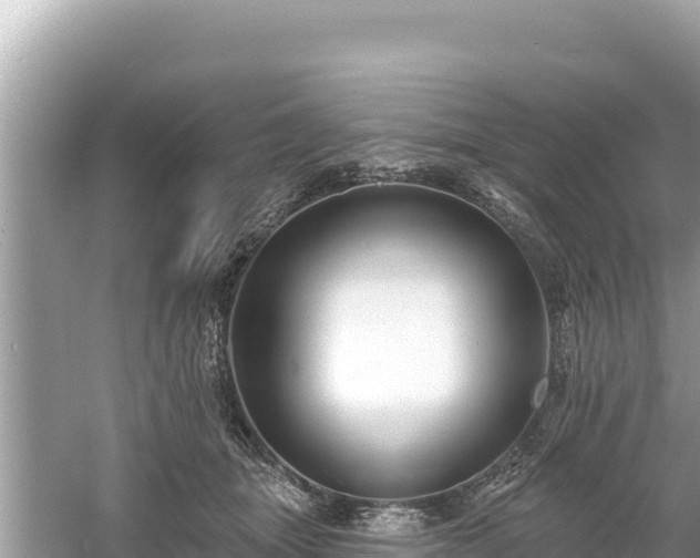 X0000061730463200512050938