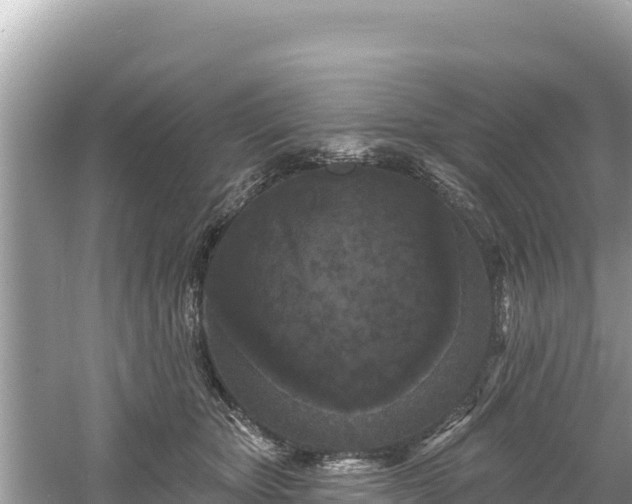 X0000061730467200512050938