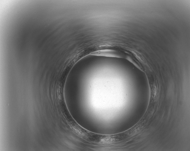 X0000061730470200512050938