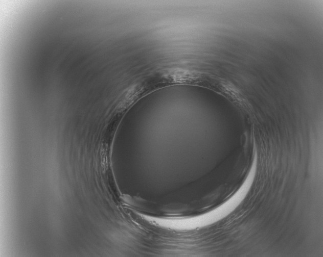 X0000061730471200512050938