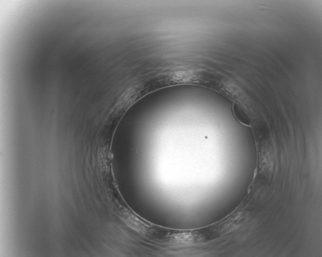 X0000061730473200512050938