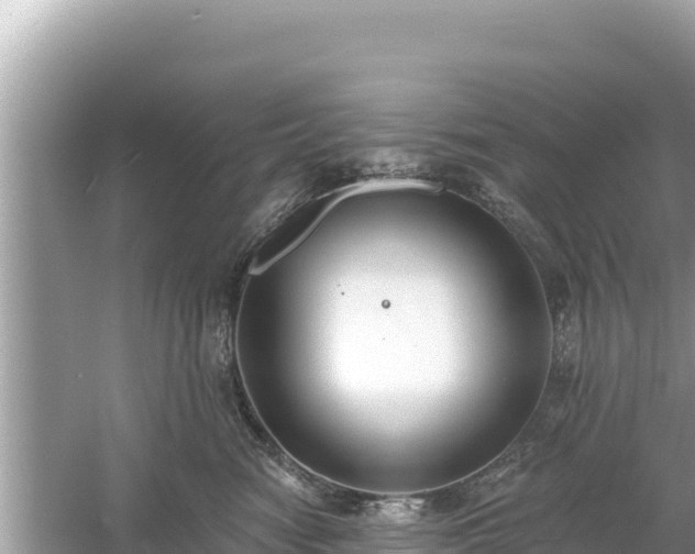 X0000061730474200512050938