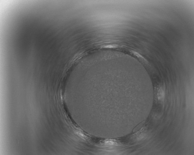 X0000061730475200512050938