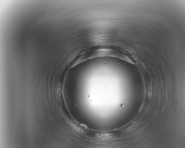 X0000061730476200512050938