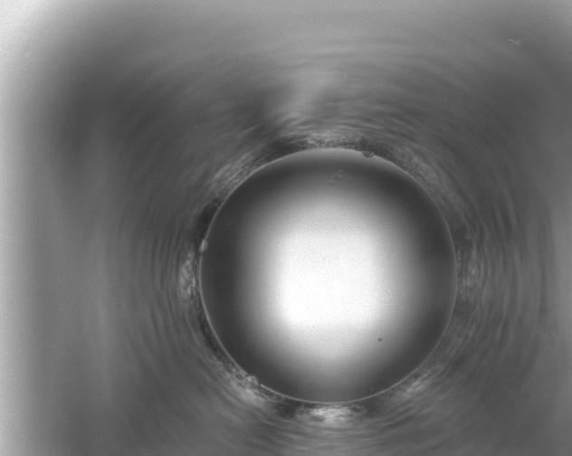 X0000061730478200512050938