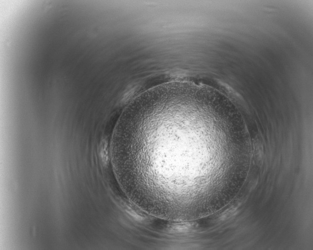 X0000061730479200512050938