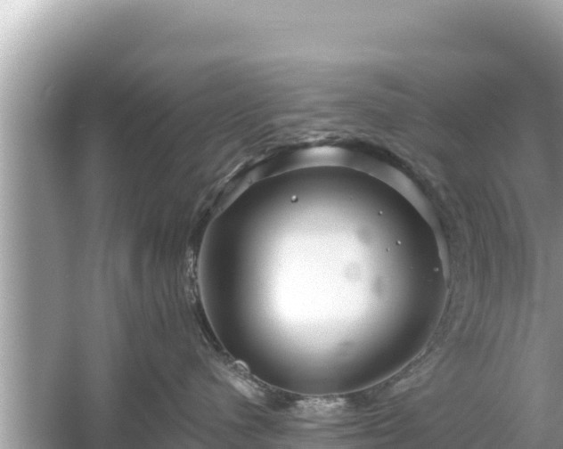 X0000061730480200512050938