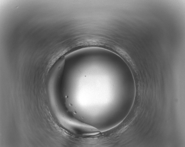 X0000061730481200512050937