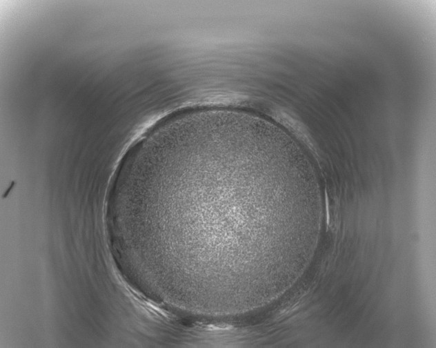 X0000061730483200512050937