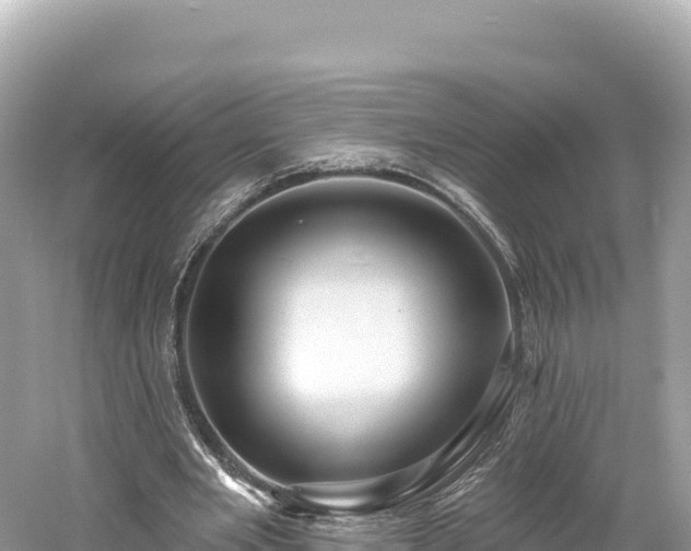 X0000061730485200512050937