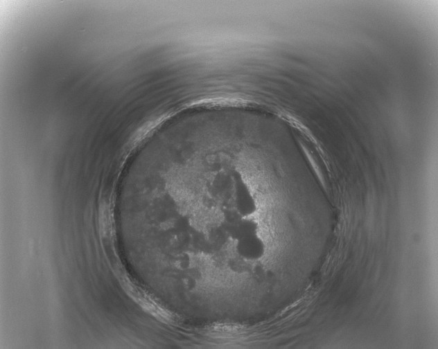 X0000061730487200512050937