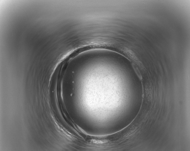 X0000061730488200512050937