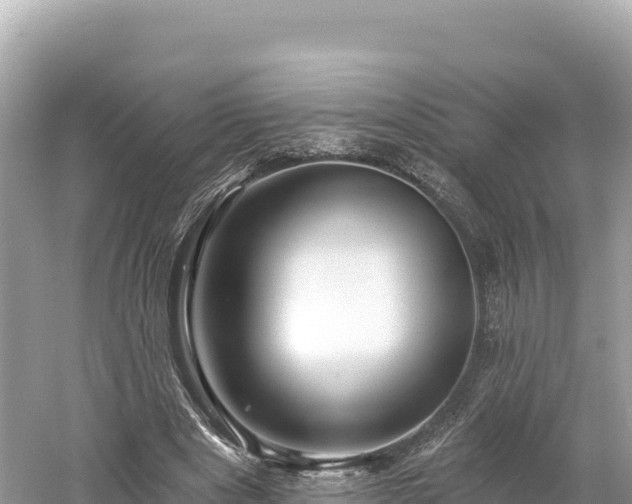 X0000061730489200512050937