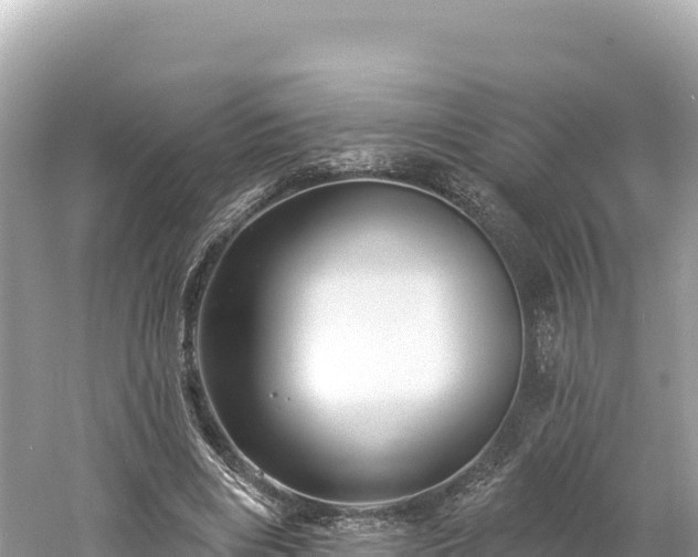 X0000061730490200512050937