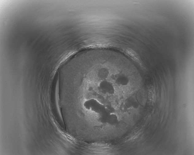 X0000061730491200512050937