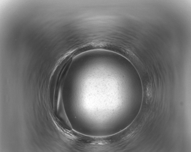 X0000061730492200512050937