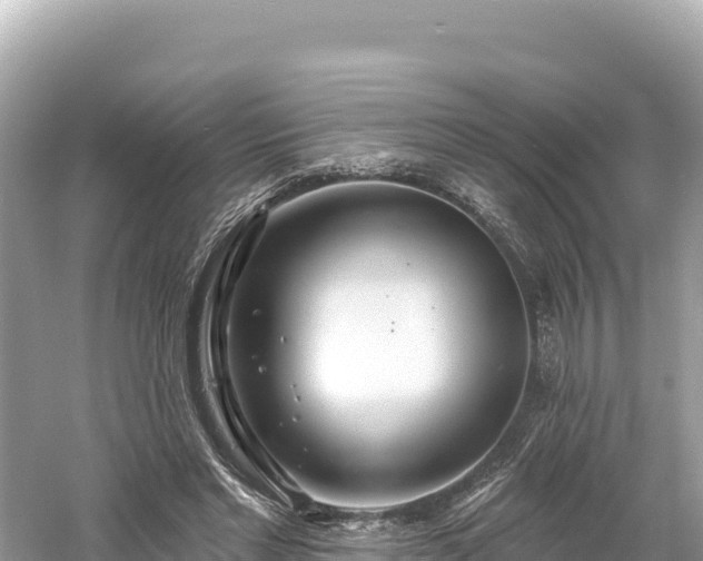 X0000061730493200512050937