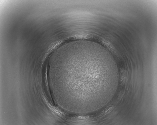 X0000061730494200512050937