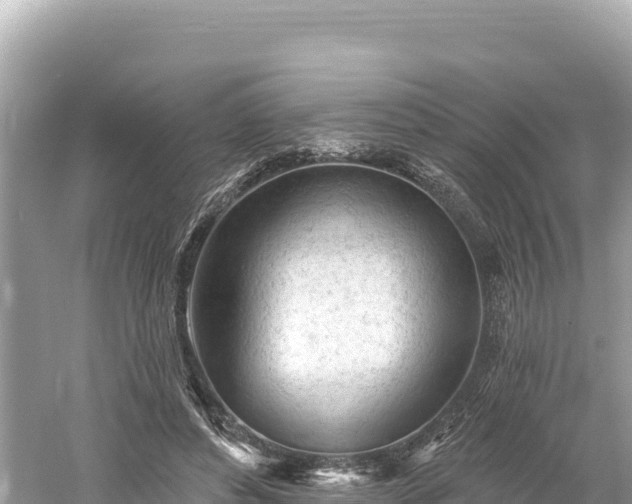 X0000061730496200512050937