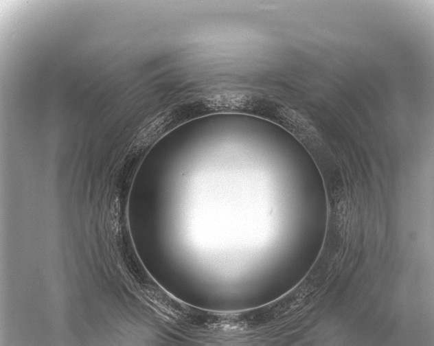 X0000061730498200512050937