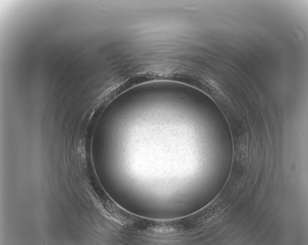 X0000061730500200512050937