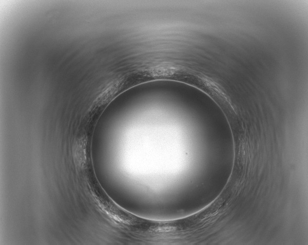 X0000061730501200512050937