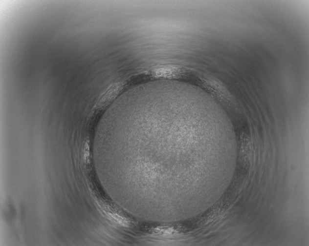 X0000061730502200512050937