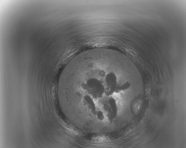 X0000061730503200512050937