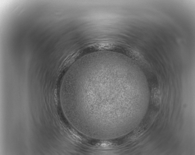 X0000061730506200512050937