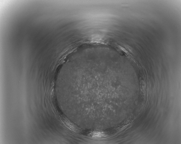 X0000061730507200512050937