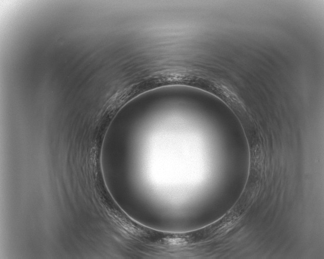 X0000061730509200512050937