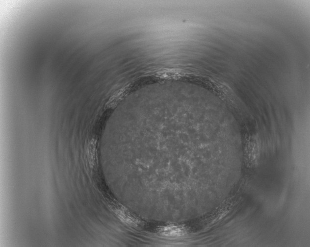 X0000061730511200512050937