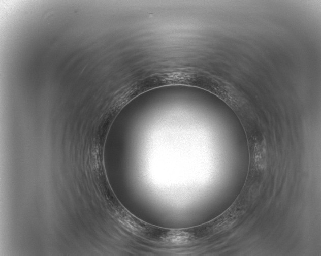 X0000061730514200512050937