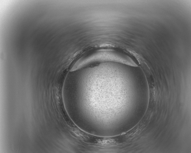 X0000061730517200512050937