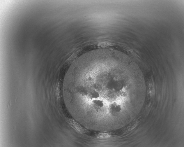 X0000061730519200512050937