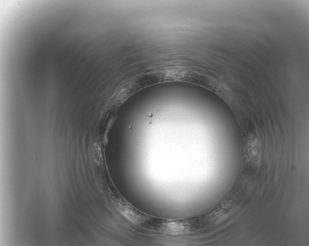 X0000061730522200512050937