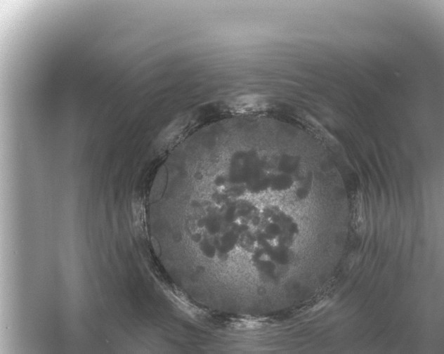 X0000061730523200512050937